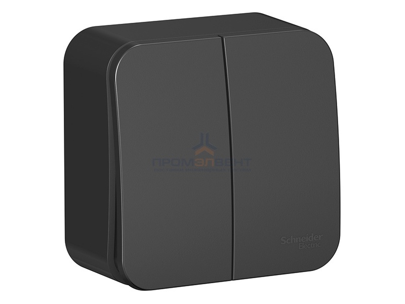 Выключатель 2-клавишный (cх.5) Blanca Schneider Electric 10А 250В антрацит